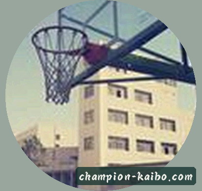 沈悦